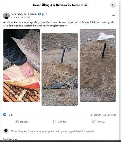 mezarda arıcılık