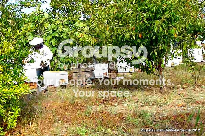 12_zpsa220374e